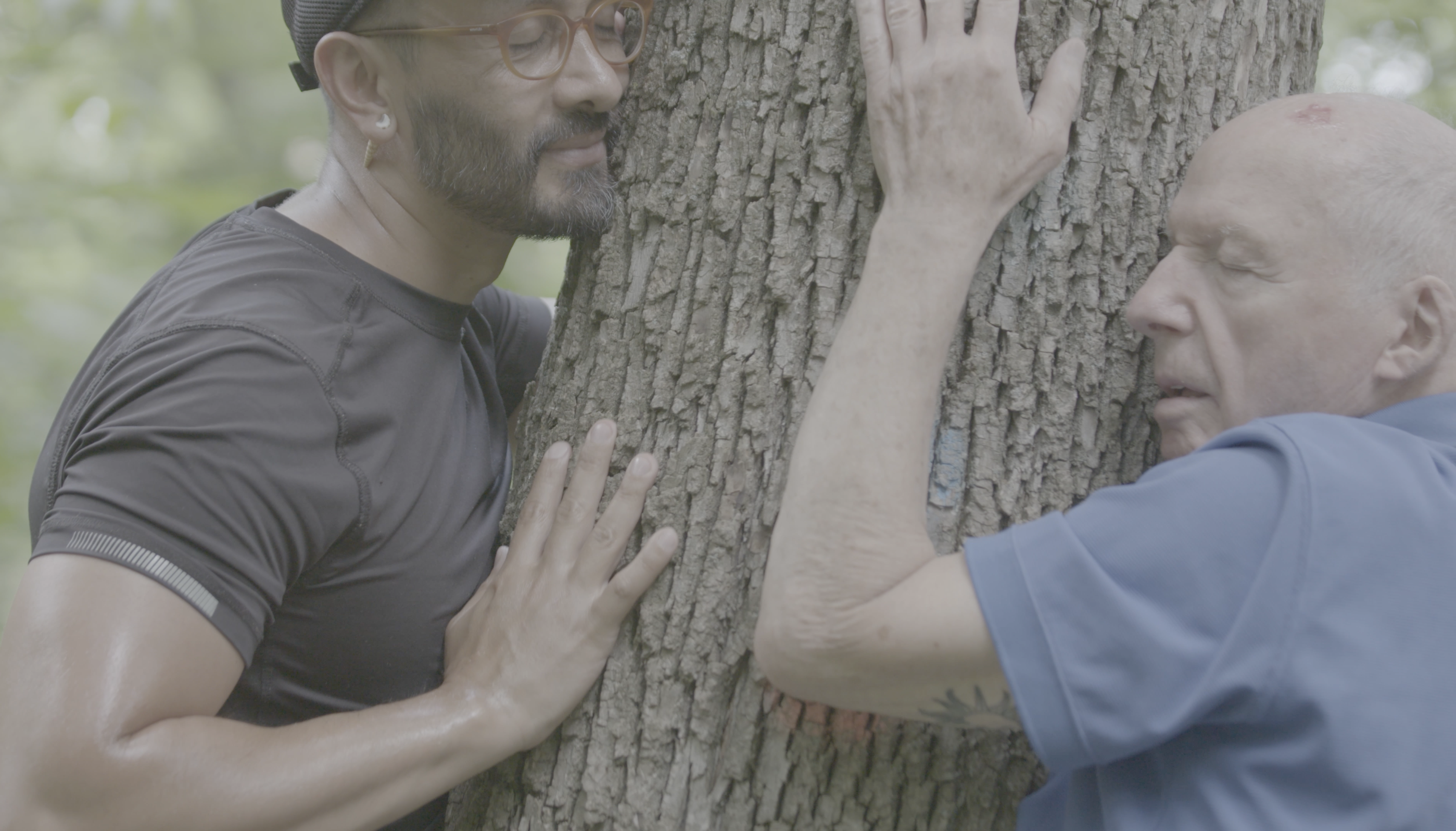 Image of two men hugging a tree