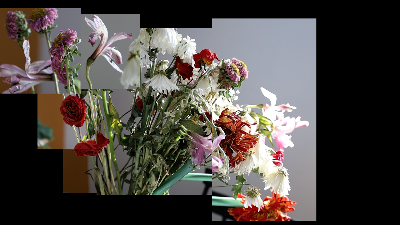 collaged photos of white, red and pink flowers