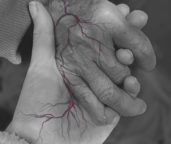 two hands clasped in black and white with veins highlighted in grey and red